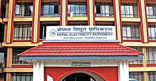 प्राधिकरणका दुई जना कर्मचारी कुटिए