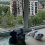 युक्रेनको पोकरोभस्क सहर कब्जा गर्ने तयारीमा रुस