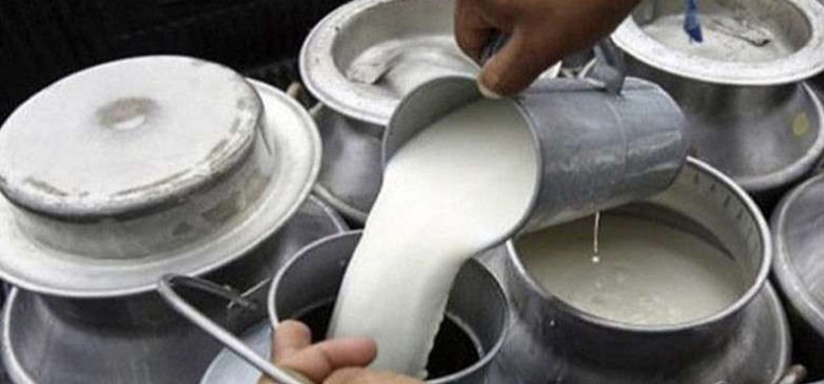 दूध उत्पादक किसानलाई पाँच करोड ५८ लाख अनुदान