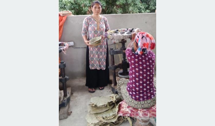 दुनाटपरी उद्योगमा रमाउँदै भावना, मासिक २५ हजार बचत