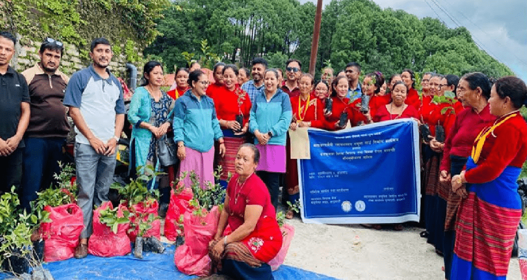 वातावरण मैत्री स्वावलम्बन नमूना गाउँ विकास अन्तर्गत फलफूलका बिरुवा वितरण