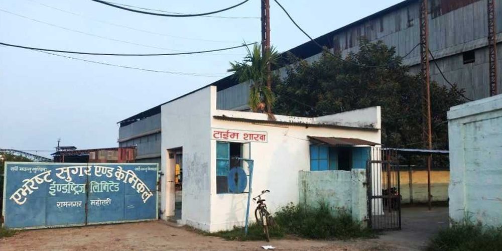 एभरेष्ट चिनी उद्योगमा उखु क्रसिङ सुरु, मूल्य बढे पनि आपूर्ति भने कम