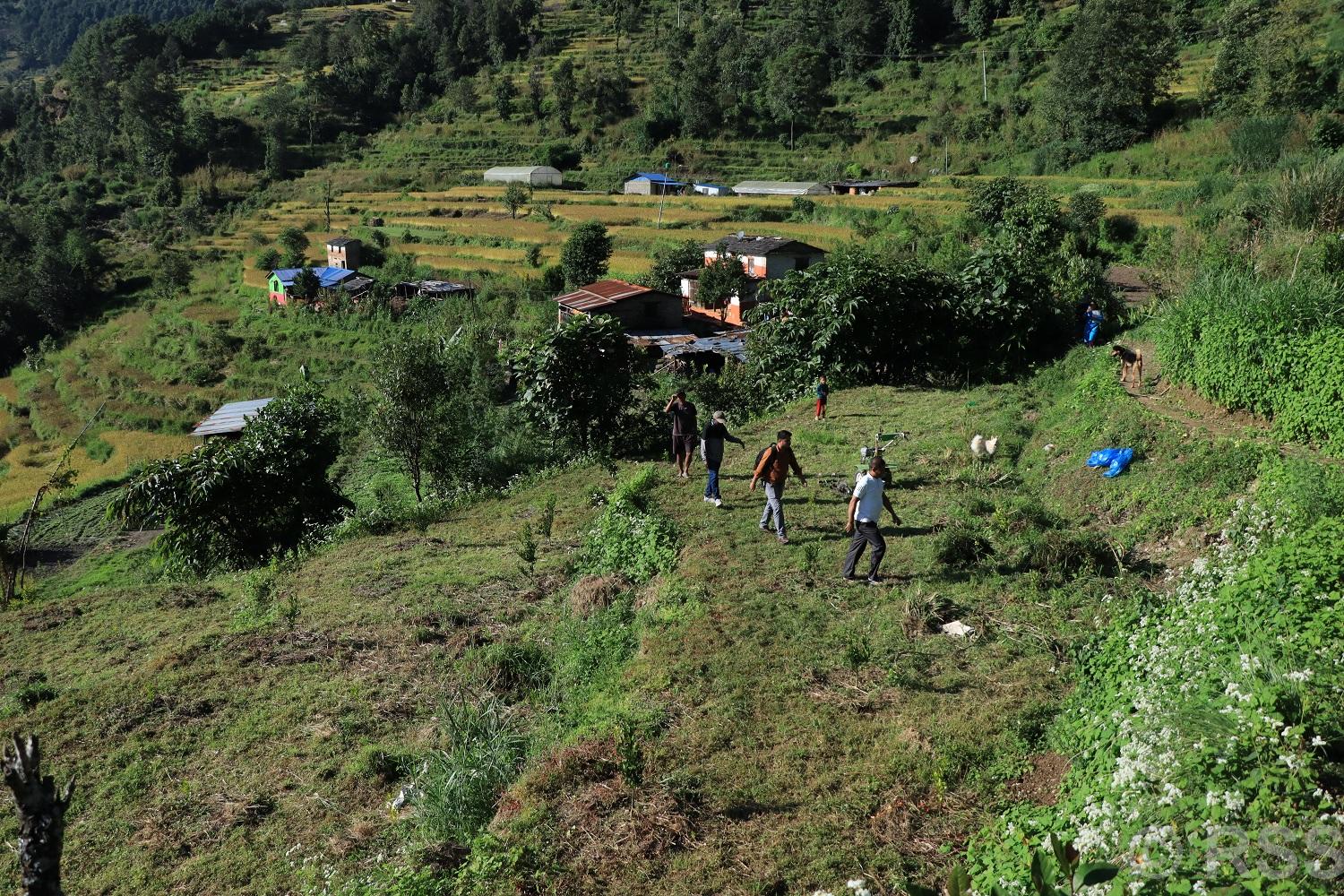 गण्डकी प्रदेशका ३४ स्थानीय तहमा बाँझिएका जमिनमा फलफूलखेती विस्तार, गाउँ फर्किँदै किसानहरू