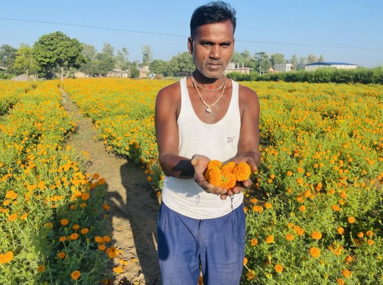 फूल खेती