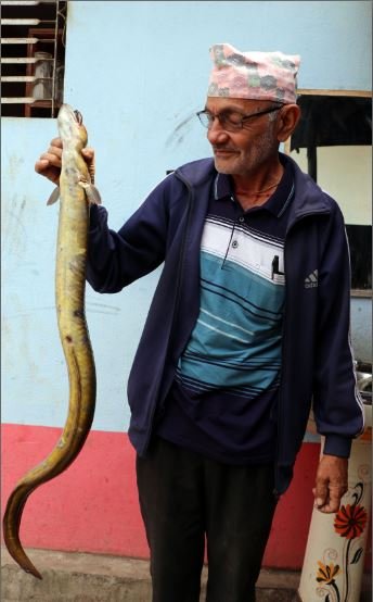 बाम माछा