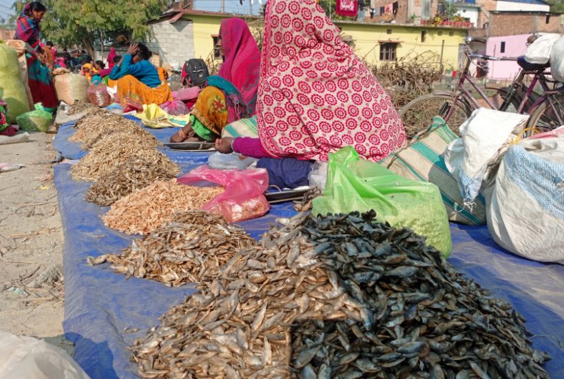 उभोक्ताको प्रतीक्षामा माछा व्यापारी