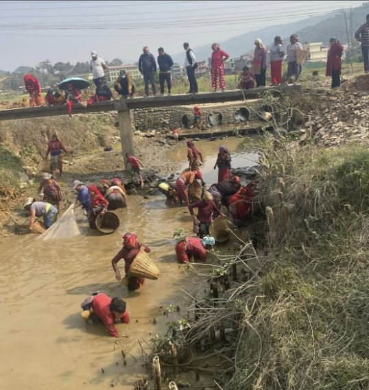 खोलामा माछा मार्दै