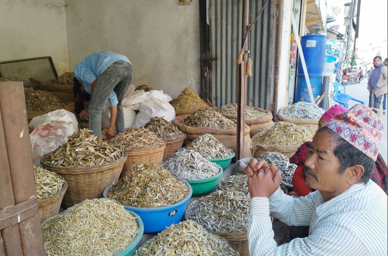 सिद्रा माछाको व्यापार