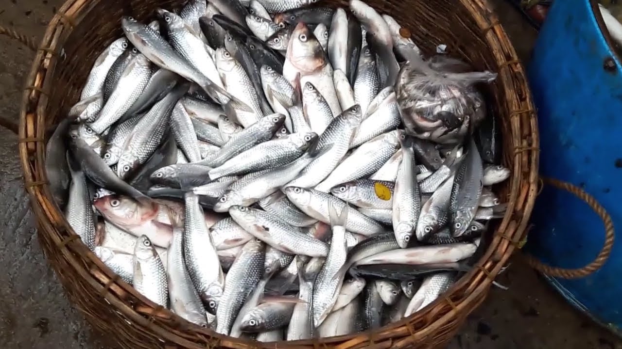 दसैँमा हरियो तरकारीभन्दा माछाको खपत बढी