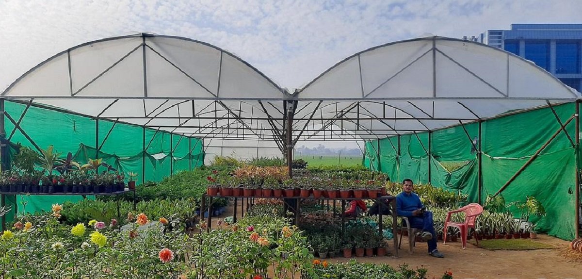 नर्सरी व्यवसायबाट मासिक ४० हजार बचत