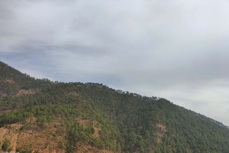 संरक्षण नहुँदा वन सङ्कट