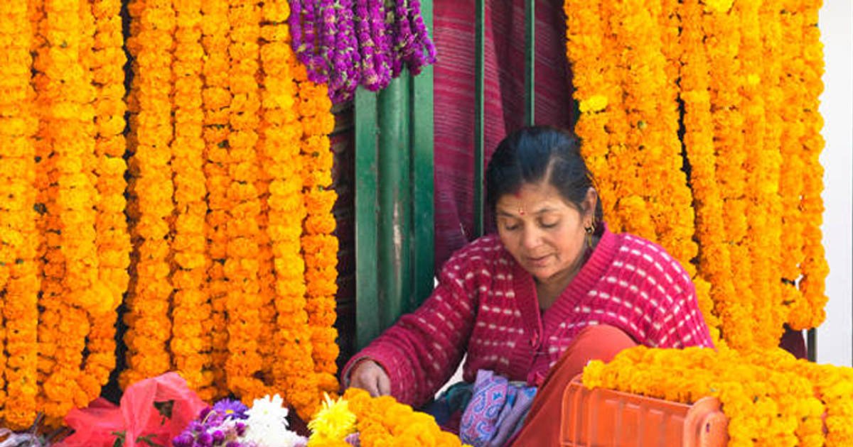 यस वर्षको तिहारमा मालामा खपत बढ्ने, कस्तो छ बजारमा फूल मालाको सम्भावित मूल्य