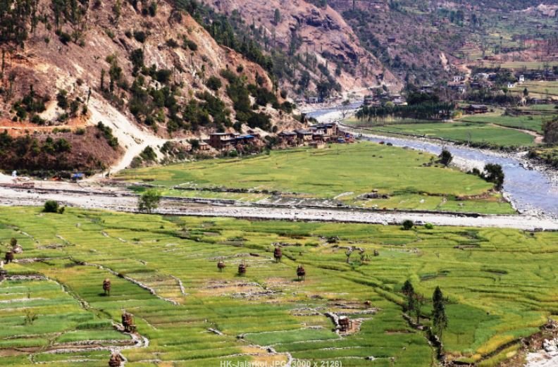 गहुँबाली