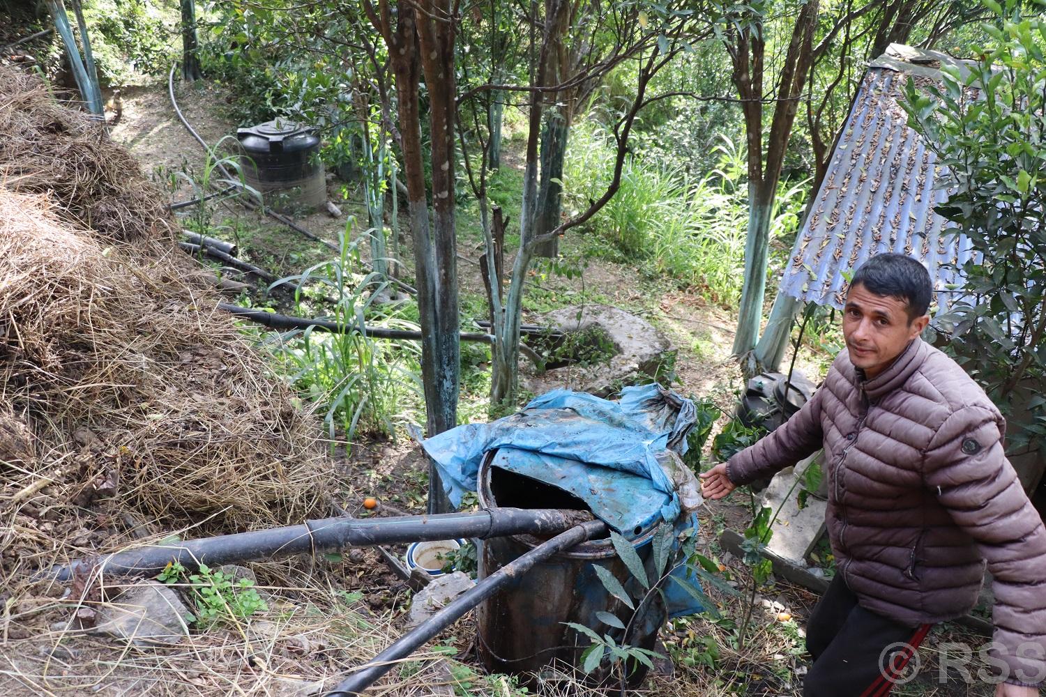 म्याग्दीमा गहुँतबाट जैविक विषादी उत्पादन गरेर खेतीमा प्रयोग