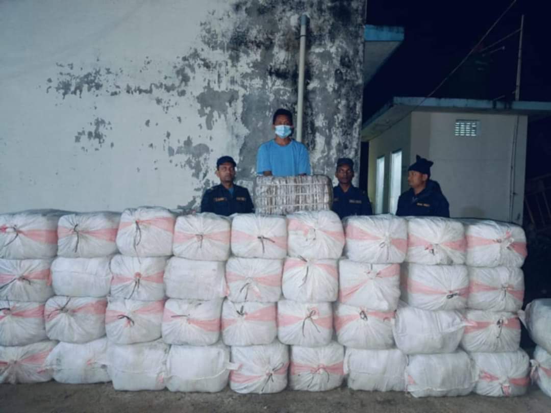 सप्तरी बाट १७ क्विन्टल गाँजासहित एक जना पक्राउ