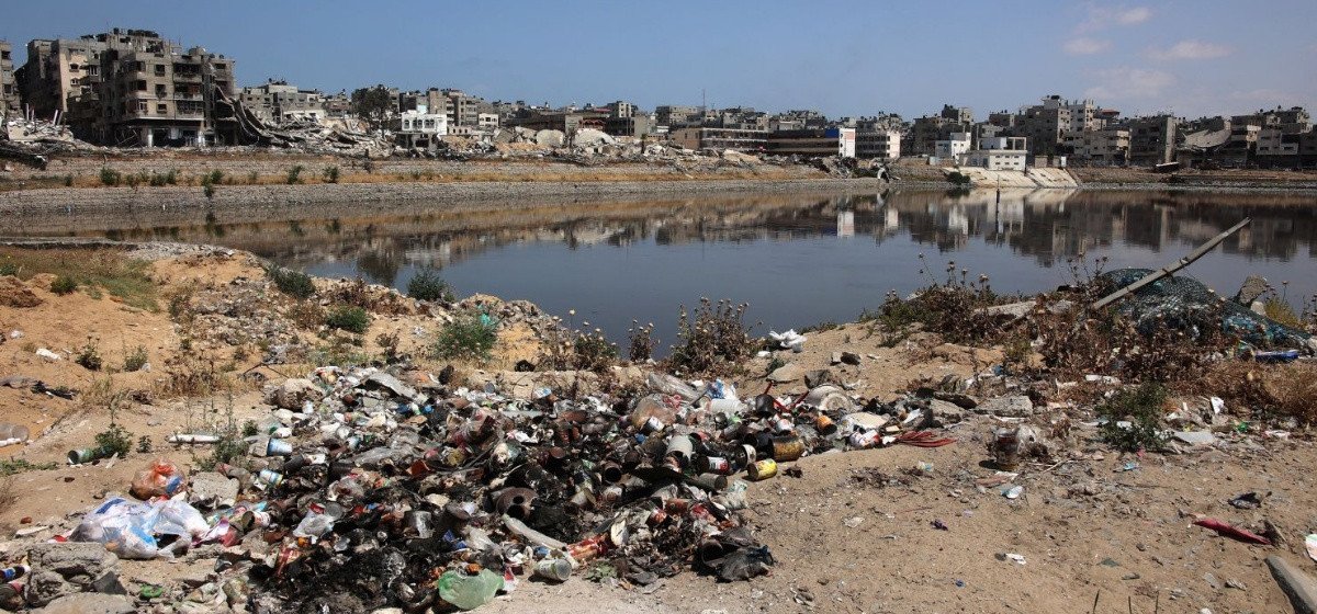 युद्धका कारण गाजामा ९५ प्रतिशतभन्दा बढी कृषियोग्य भूमि नष्ट