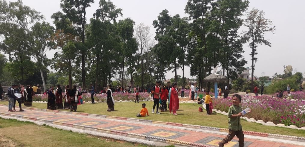 नयाँ वर्ष घुमघाम