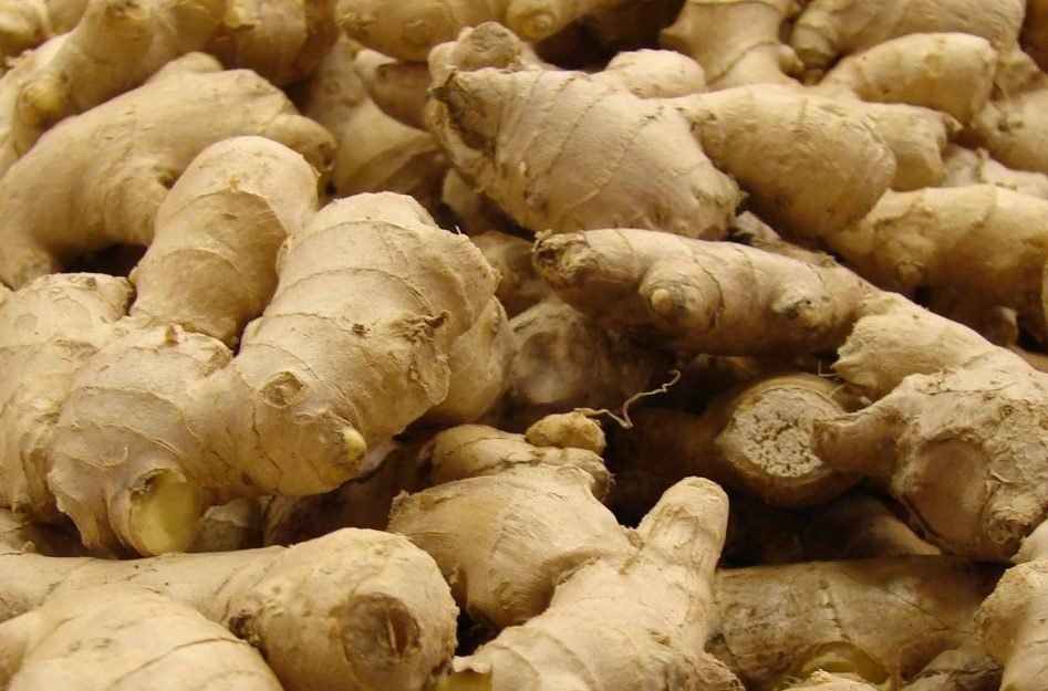 एक वर्षमै डेढ अर्बको अदुवा विक्रि