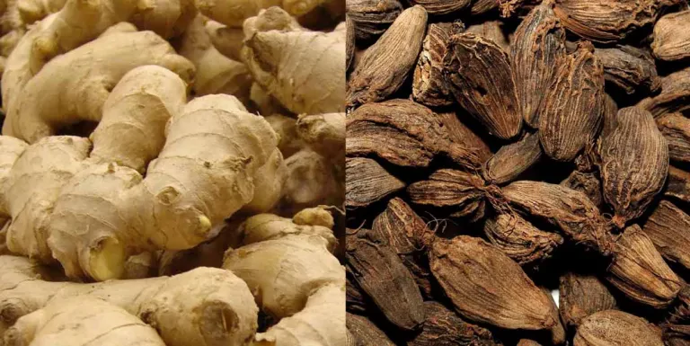 अदुवा, अलैँची र प्लाइउडको निर्यातमा वृद्धि