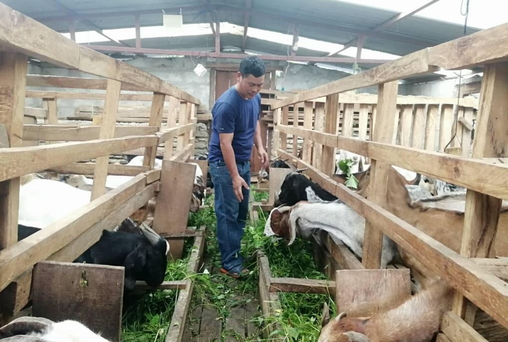 खानीगाउँमा घरैपिच्छे बाख्रापालन