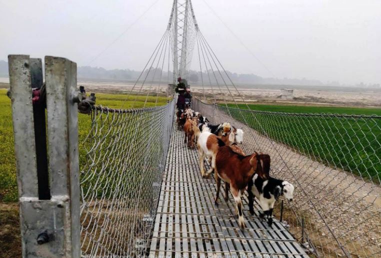 झोलुङ्गे पुलमा बाख्रा ल्याउँदै गरेका किसान