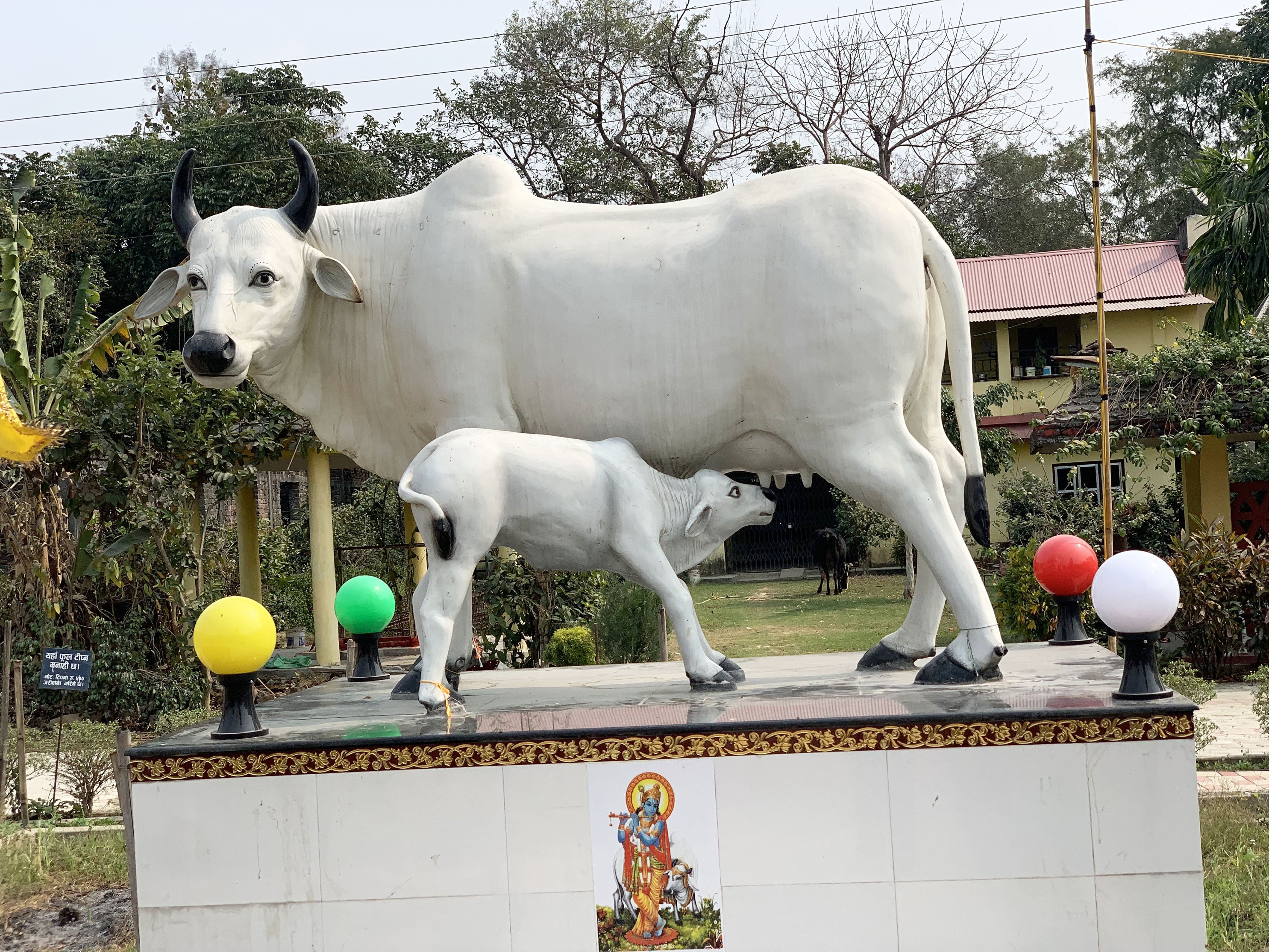 गाई बाच्छीको प्रतिमा (तस्बिर)