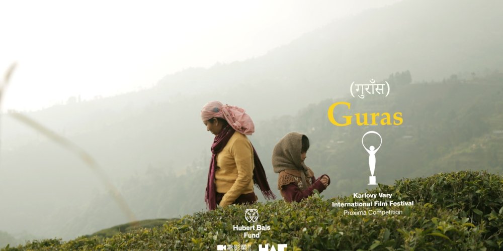 अन्तरराष्ट्रिय चलचित्र महोत्सवमा देखाइयो ‘गुराँस’
