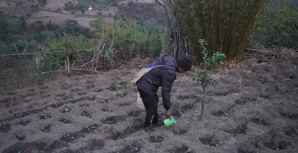 गुर्जामा सामूहिक तरकारीखेती