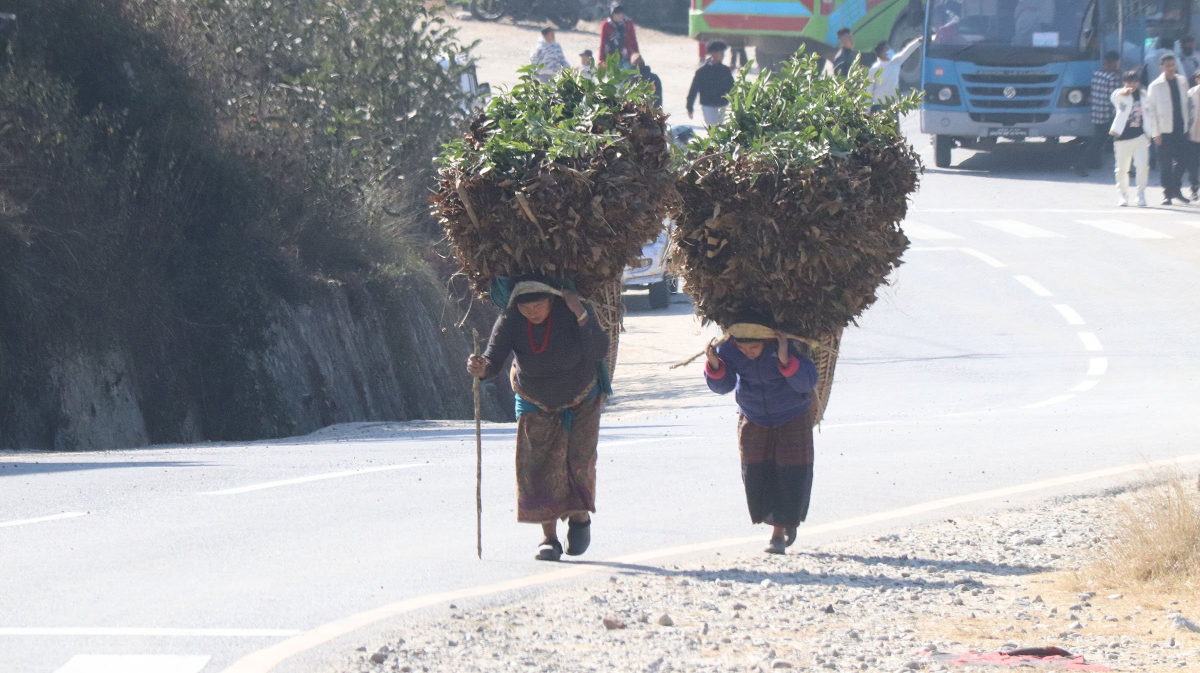 झारपात बोकेर घरतर्फ जाँदै महिला (तस्बिर)