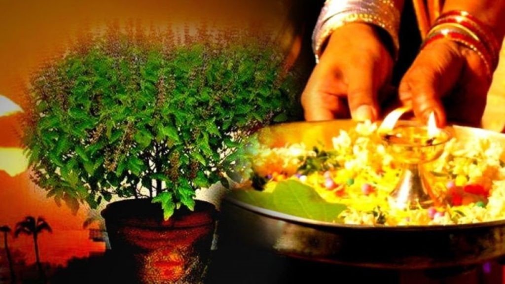 आज हरि बोधिनी एकादशीः घरमा रोपिएको तुलसीलाई दामोदरसँग विवाह गरिँदै
