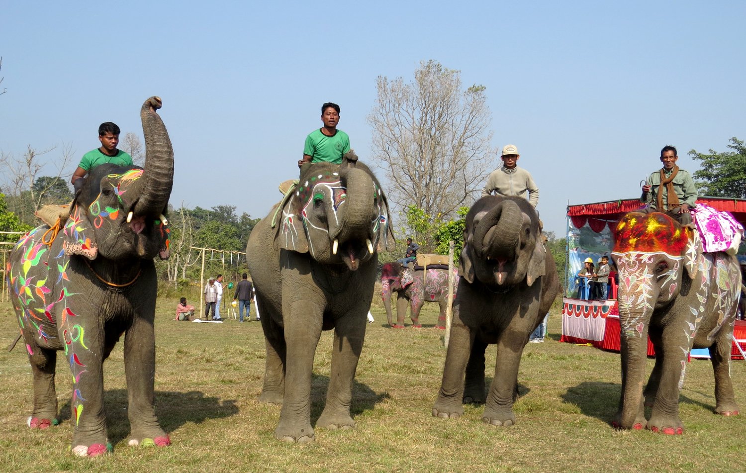 सौराहामा हात्ती तथा पर्यटन महोत्सव आजदेखि शुरू