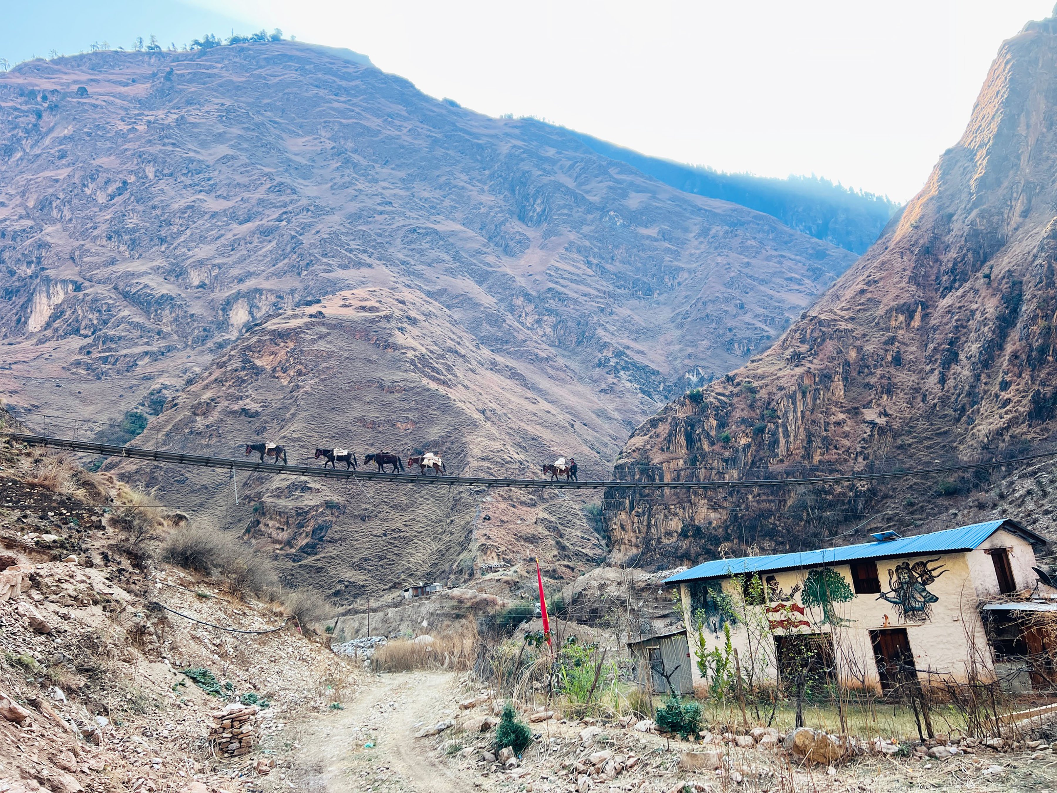 झोलुंगे पुल तर्दै खच्चड (तस्बिर)