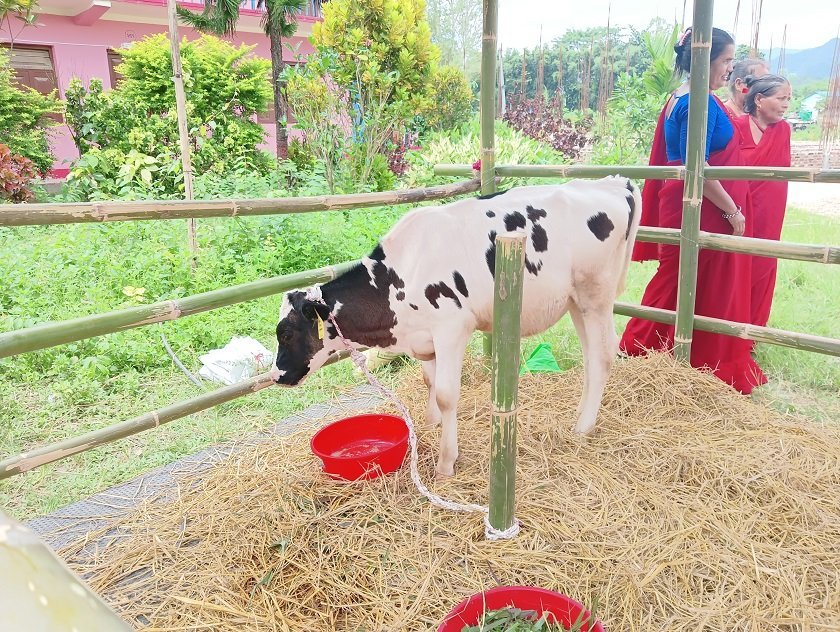 हेफर इन्टरनेशनलले मनायो ८० औ वार्षिकोत्सव