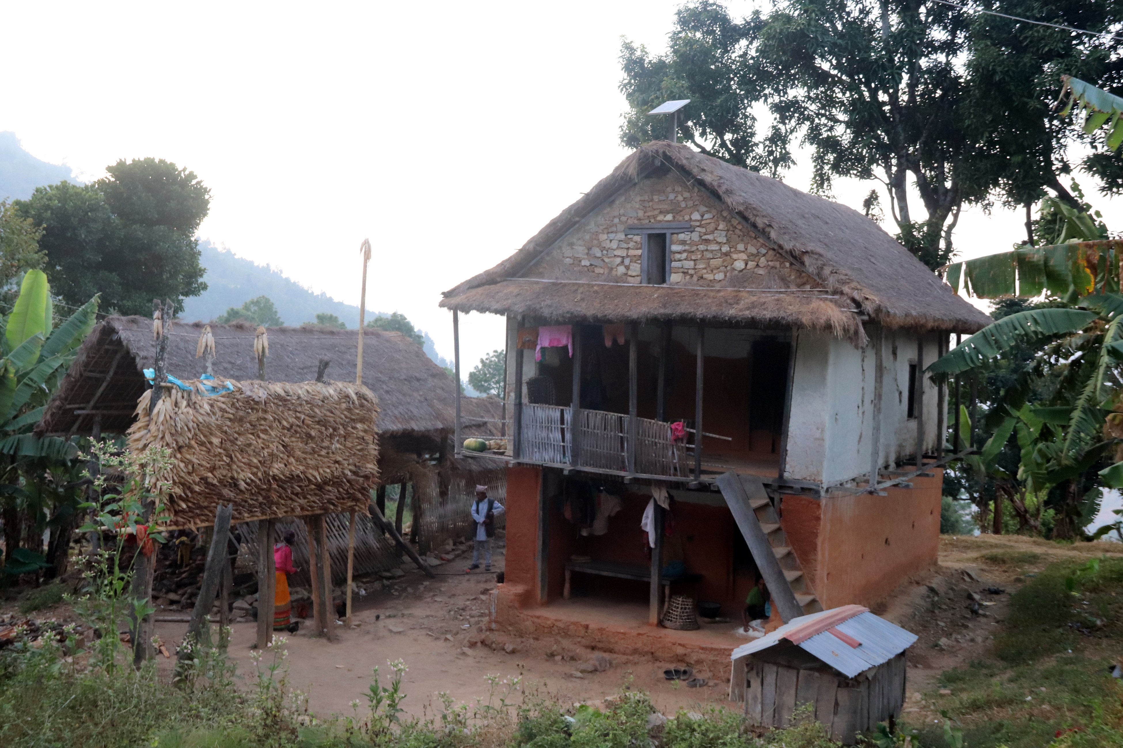 परम्परागत शैलीमा राखिएको मकैको सुली