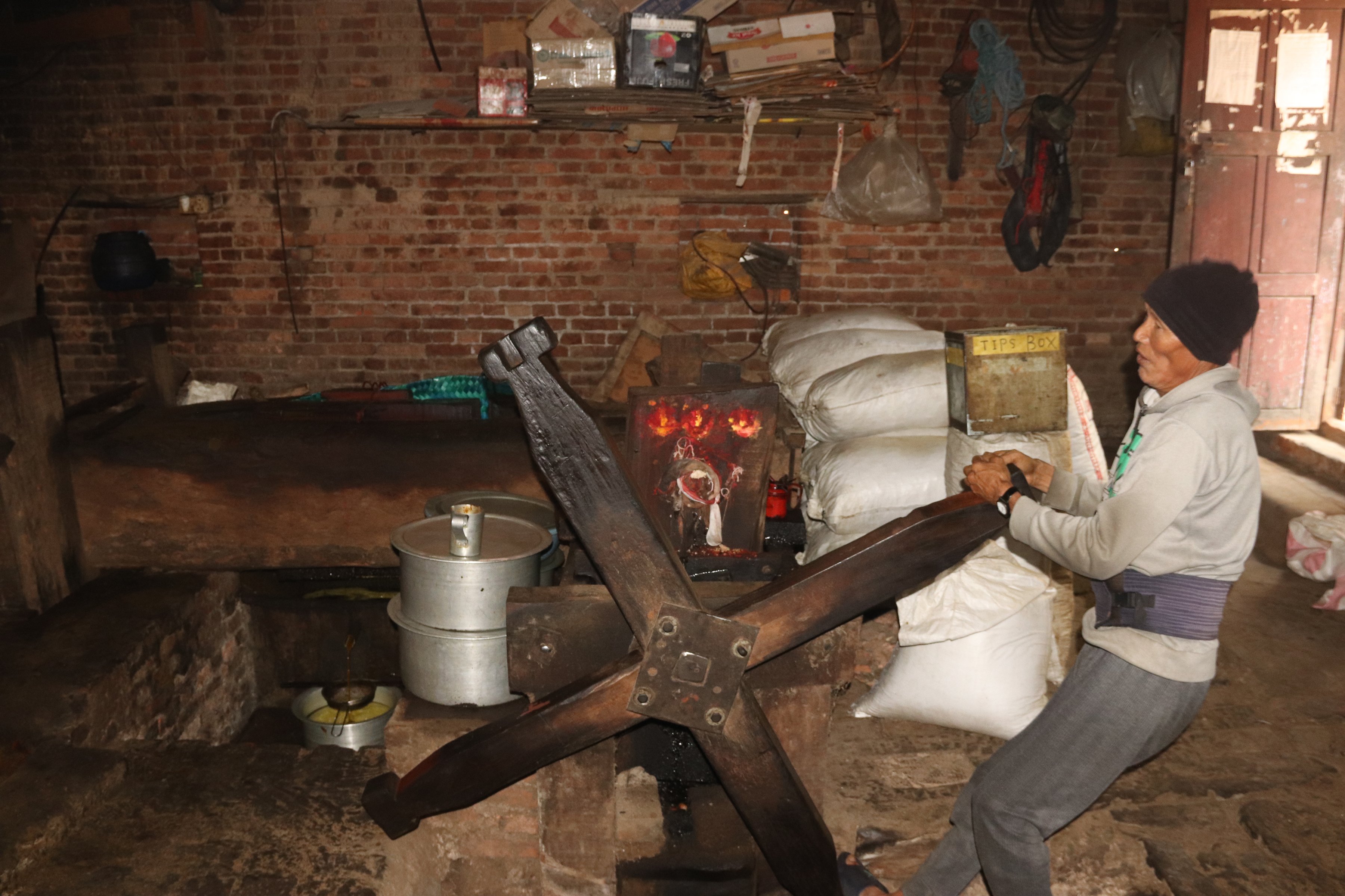 परम्परागत काठको कोलमा तोरी पेल्दै