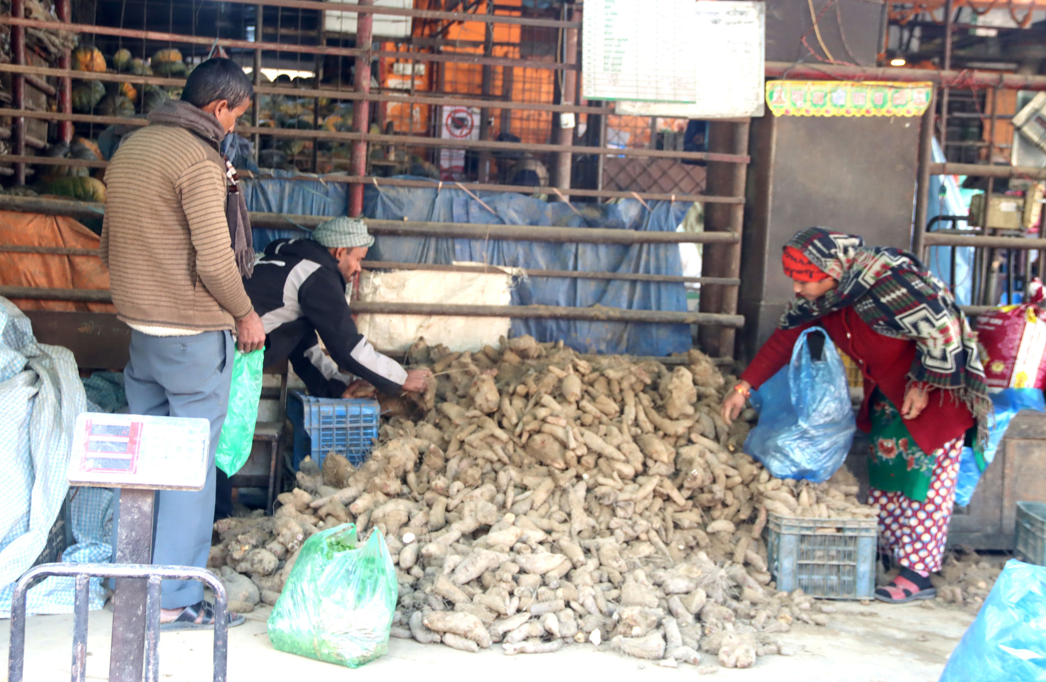 तरुलको व्यापार (तस्बिर)