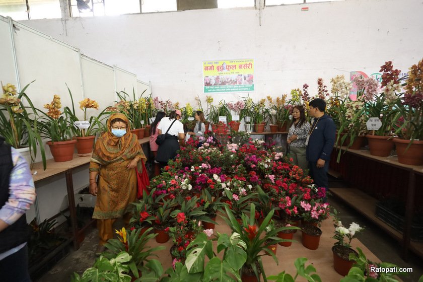 भृकुटीमण्डपमा आजबाट दोस्रो राष्ट्रिय हर्टिकल्चर एक्स्पो सुरु