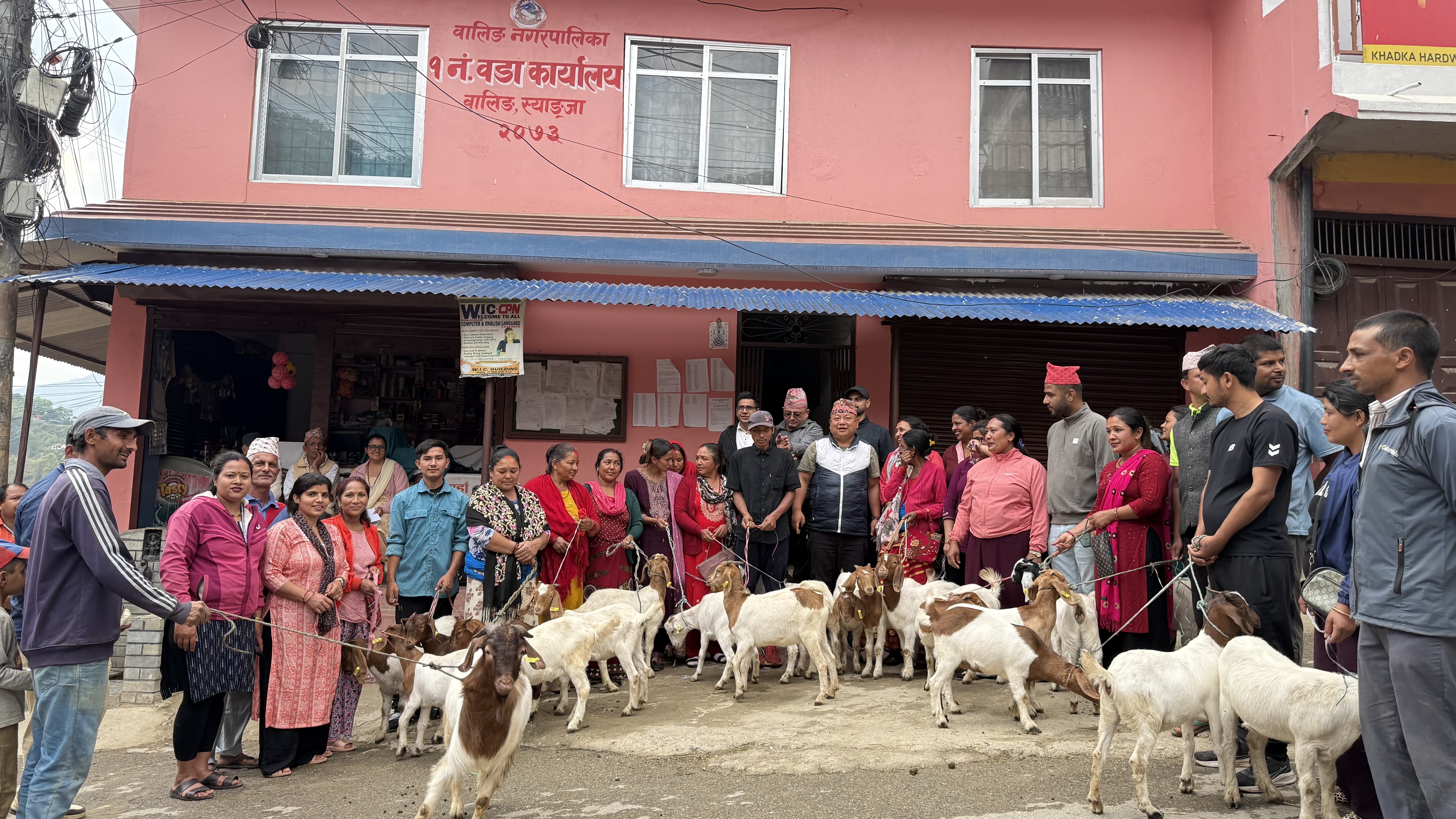 उत्पादनमा जोड्न महिलालाई बाख्राका पाठी र बोका वितरण