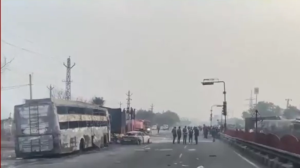 jaleko bus
