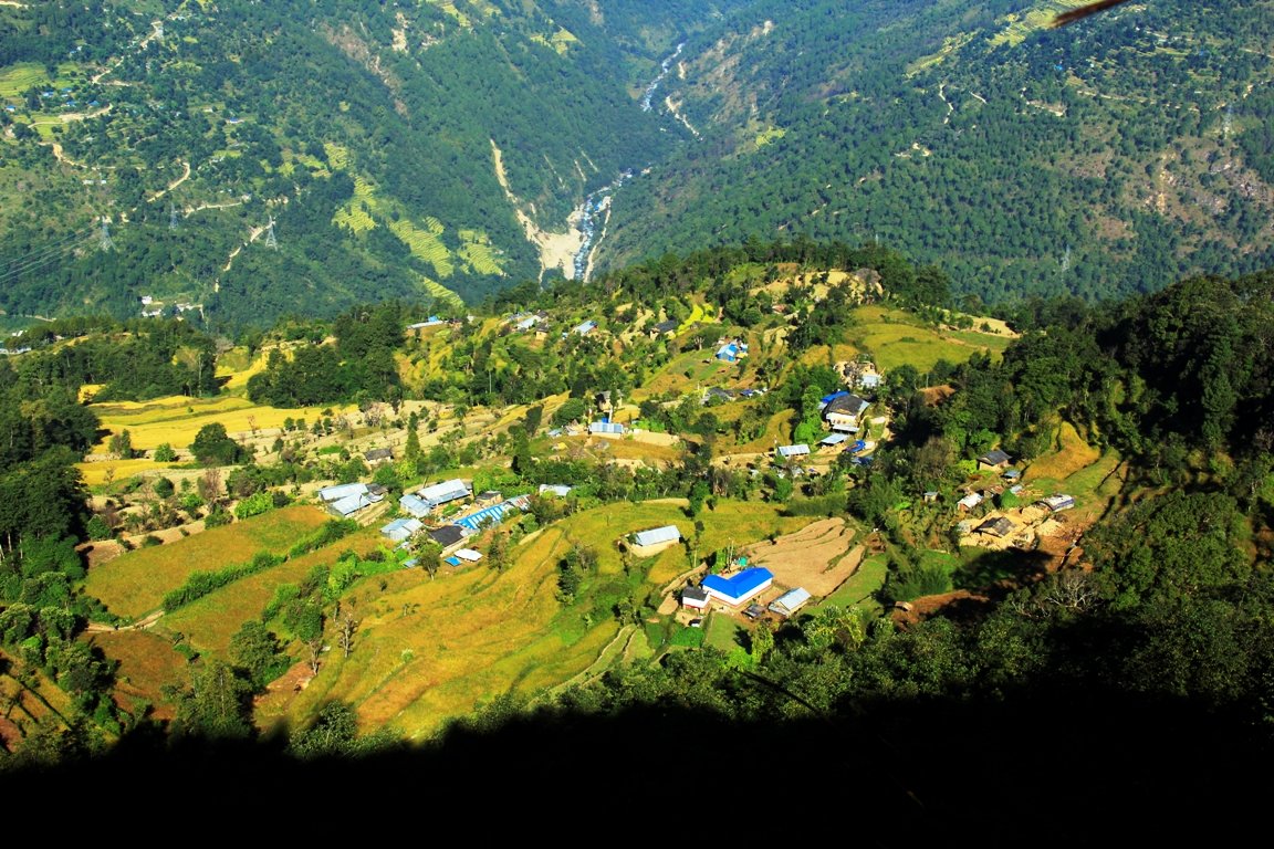 महाशिलाका १५ घरपरिवार गाउँ फर्किएपछि व्यावसायिक खेतीतर्फ