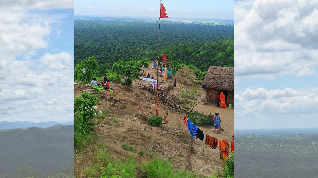 jungle ashram