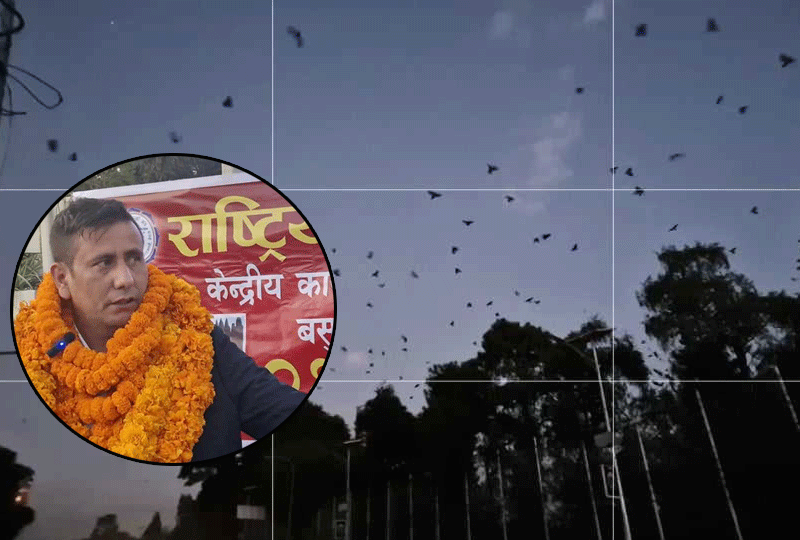 नारायणहिटी अगाडि कलाकार दुलालले गरे काग सम्मेलन