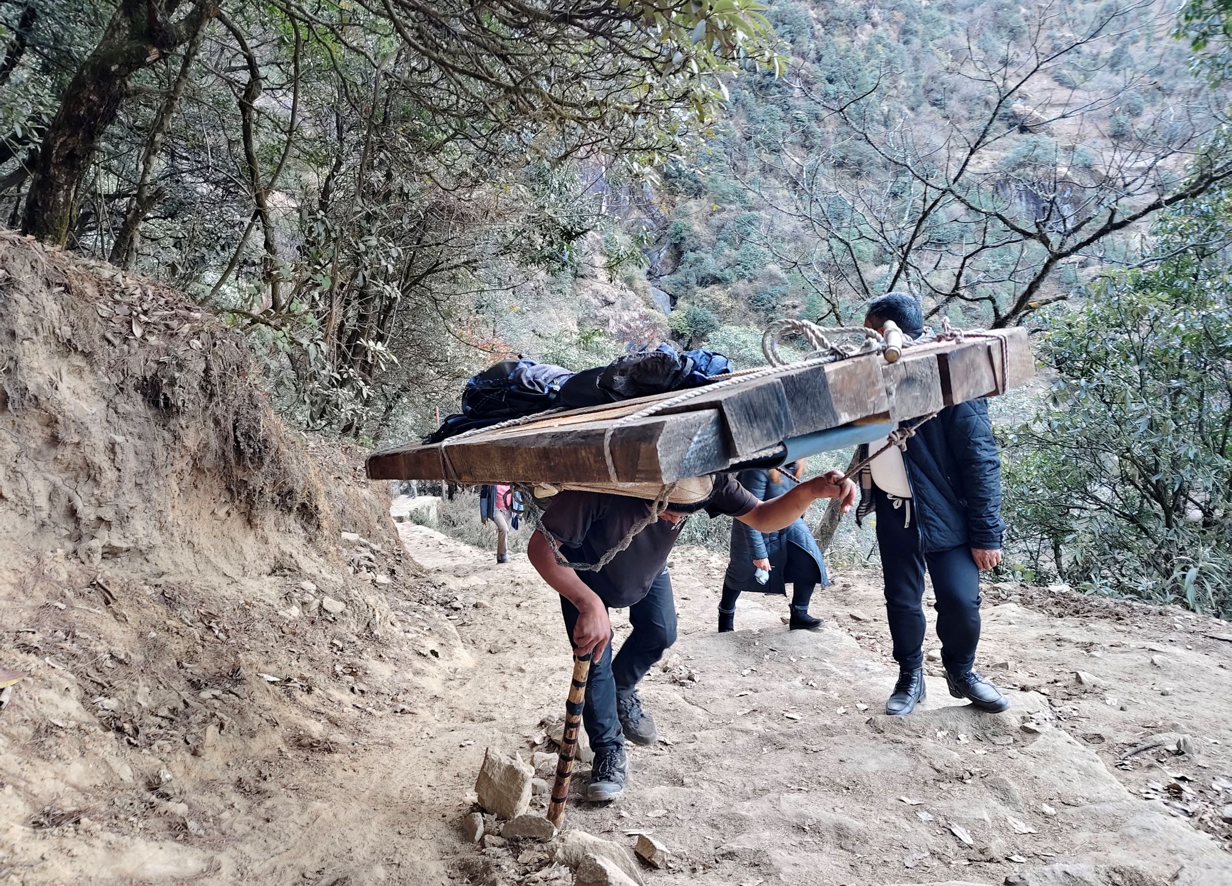 काठ बोकाएर लगिँदै (तस्बिर)