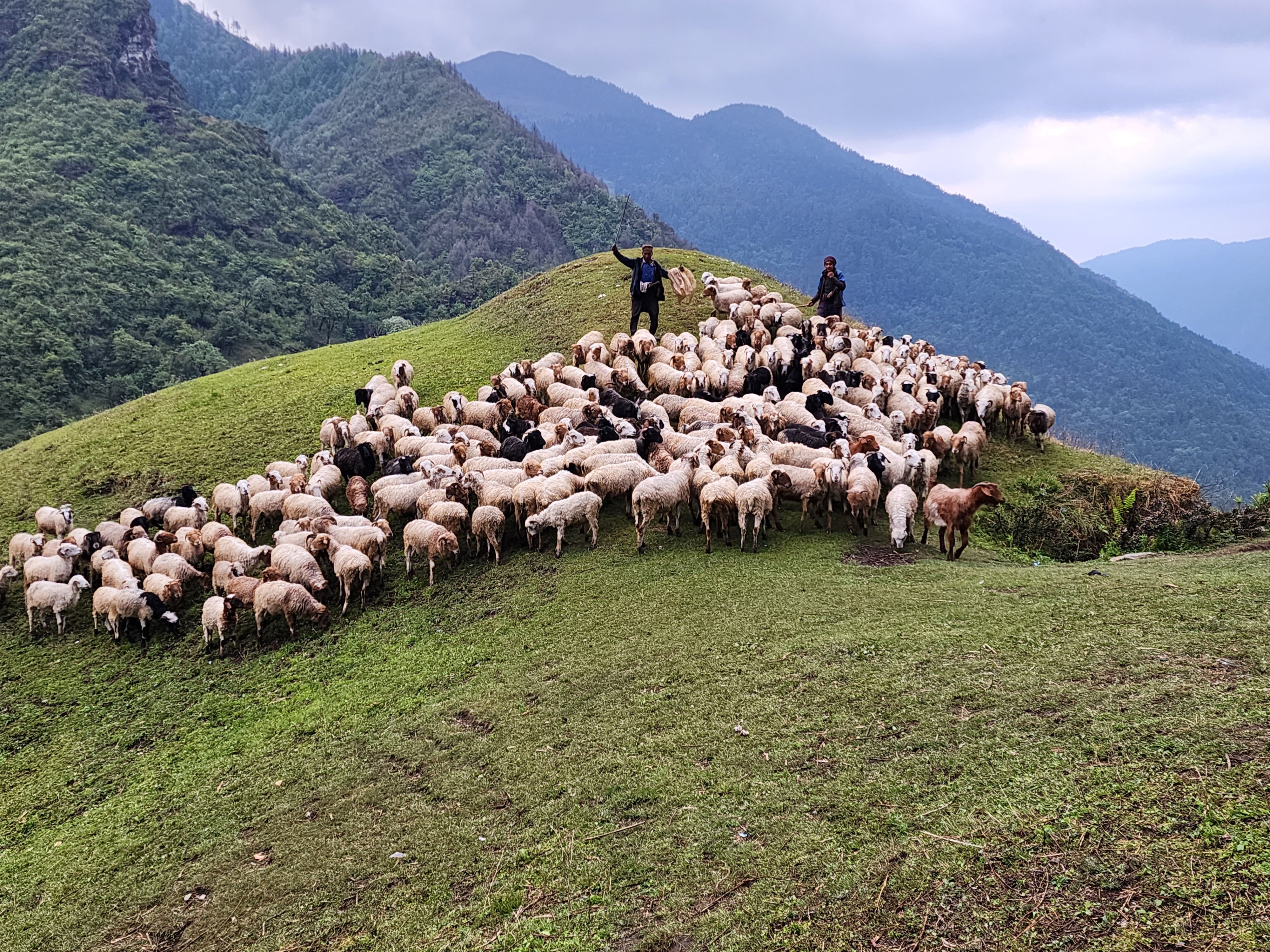 रिरिबाङ्को लेकमा भेंडा