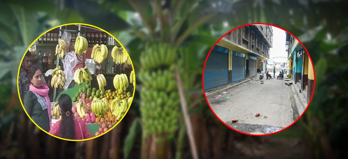 बजारमा केराको हाहाकार : उत्पादनको मूल्य बढेन, उपभोक्ताले किन्न सकेनन्