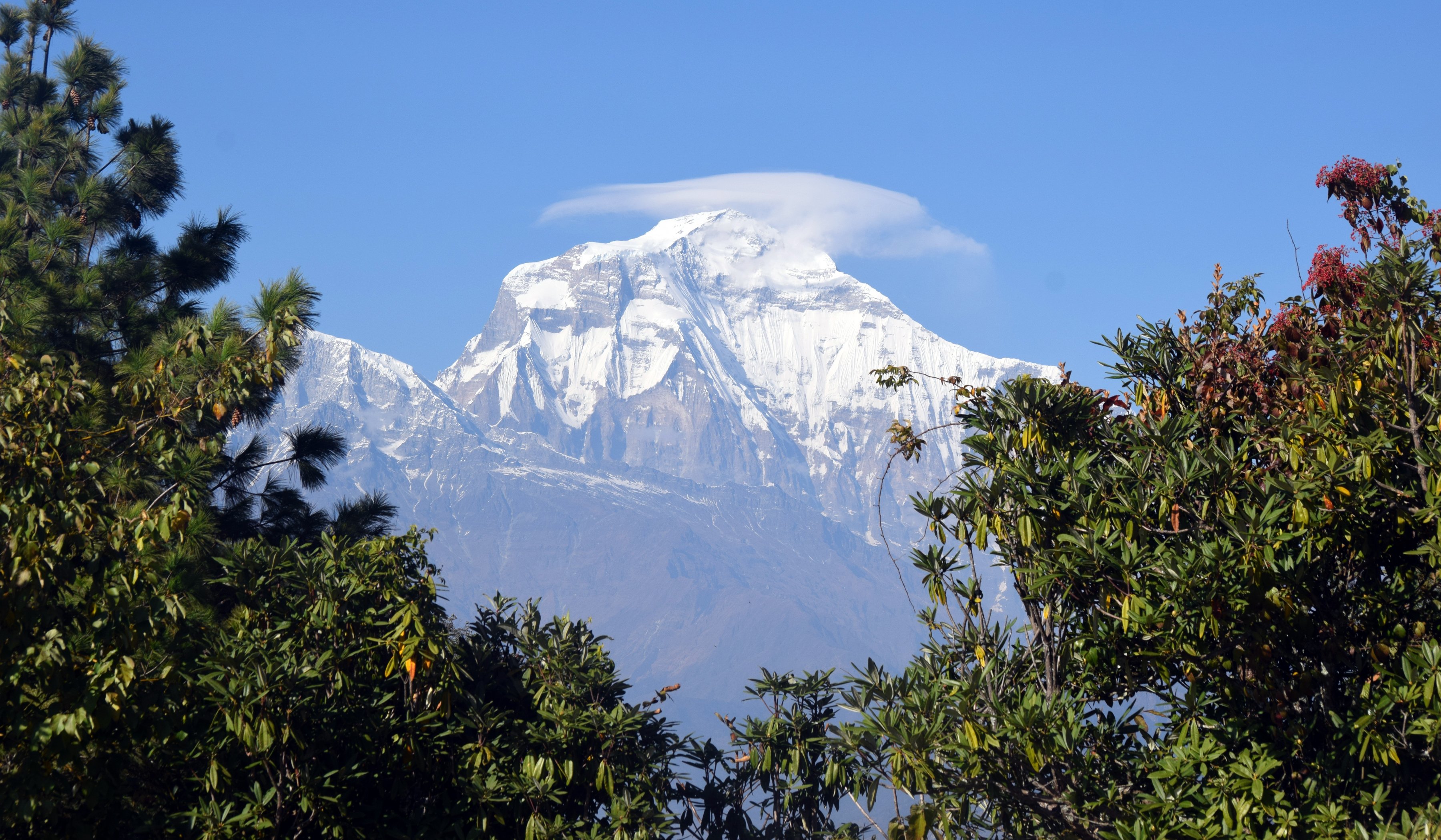 धौलागिरि हिमाल