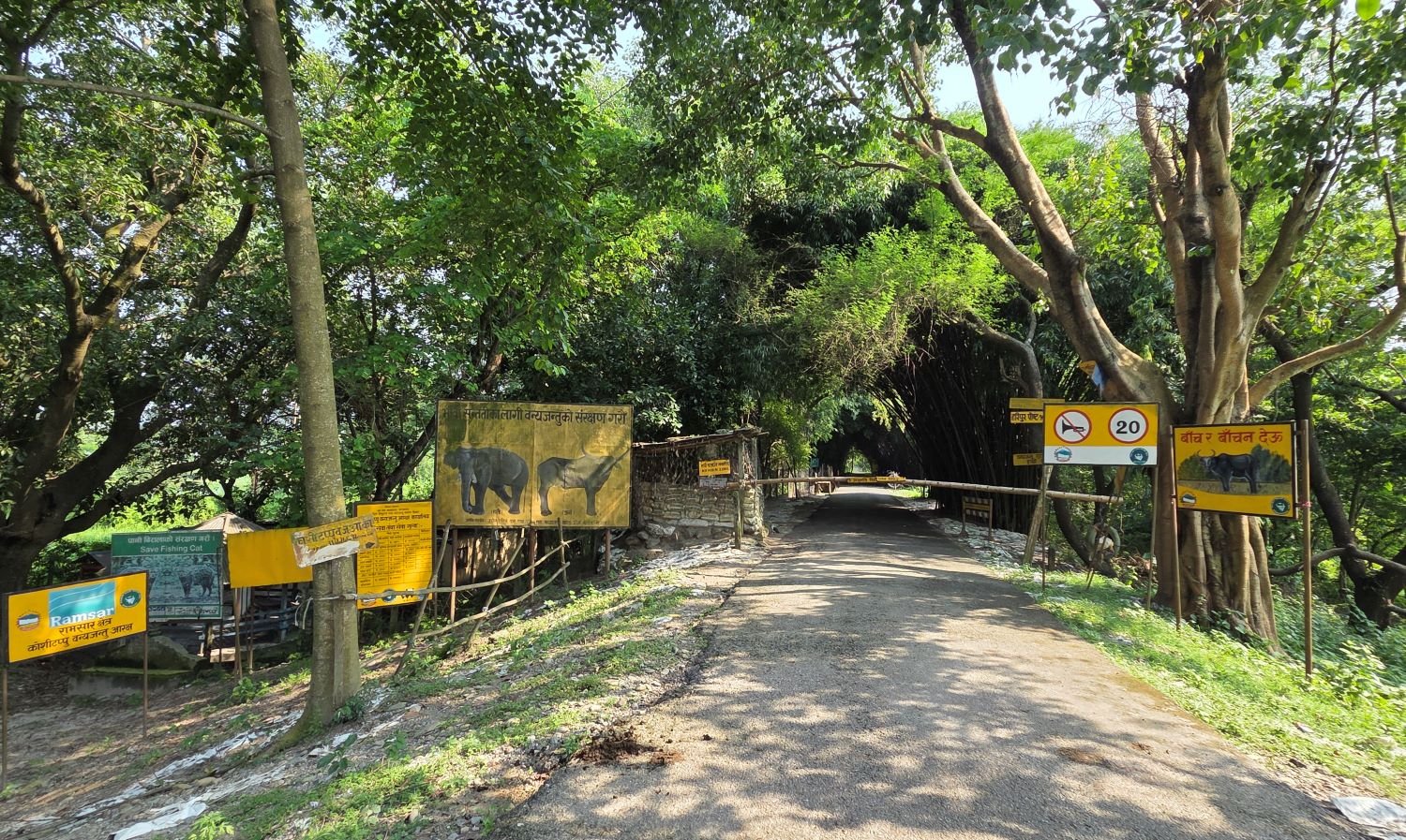 कोशी टप्पु: जैविक विविधताको स्वर्ग, पर्यटनको सुनौलो सम्भावना