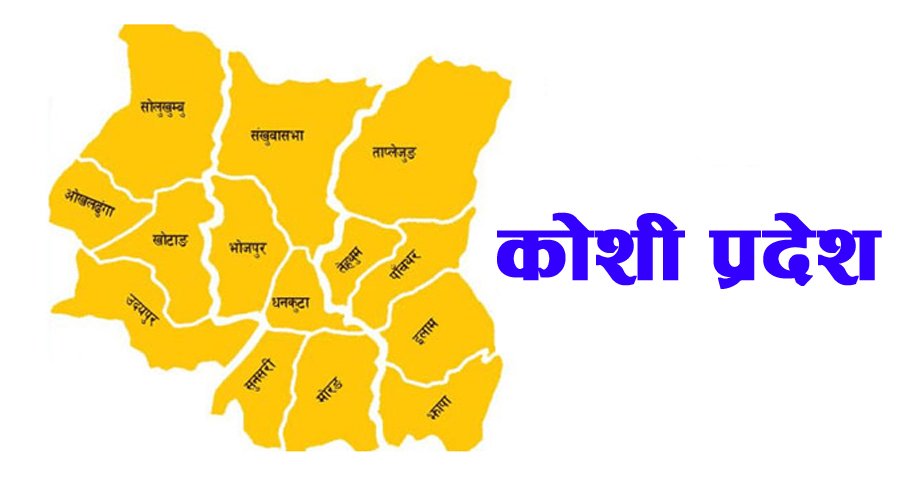 कोशी प्रदेश सरकारद्वारा बाढी पहिरोमा परी मृत्यु हुनेको परिवारलाई राहत वितरण