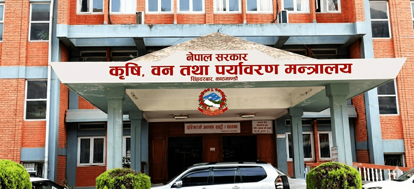 बाली लगाउनुअघि नै न्यूनतम समर्थन मूल्य तोकिने, किसानलाई निर्णय गर्न सहज हुने