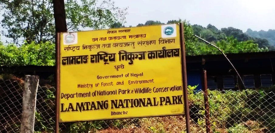 वैकल्पिक बाटो तय भएसँगै पदमार्ग पुनः सञ्चालनमा
